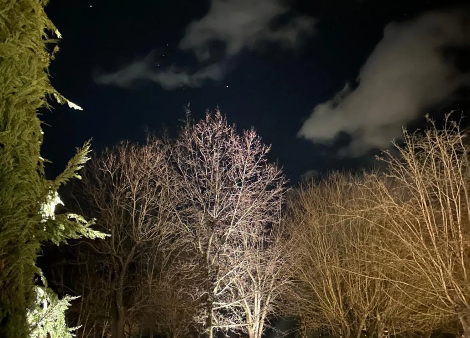 Casale La Gora - B&B di charme Figline Valdarno Bed & Breakfast