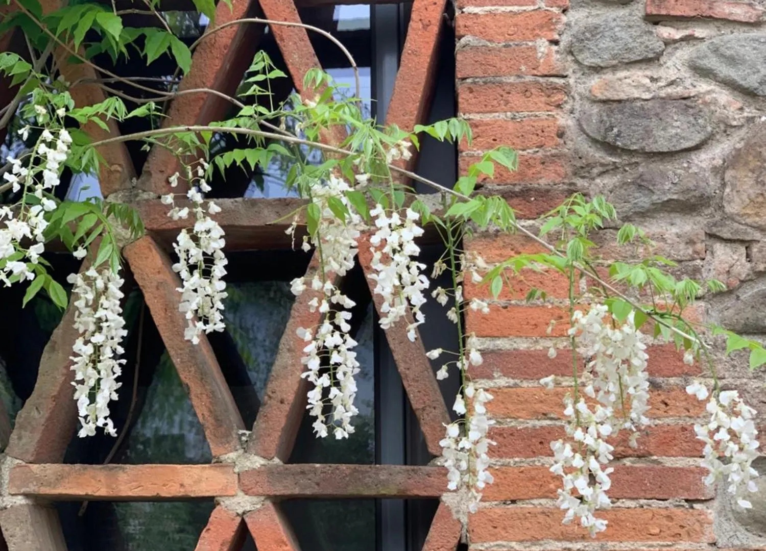 Casale La Gora - B&B di charme Figline Valdarno 0*,